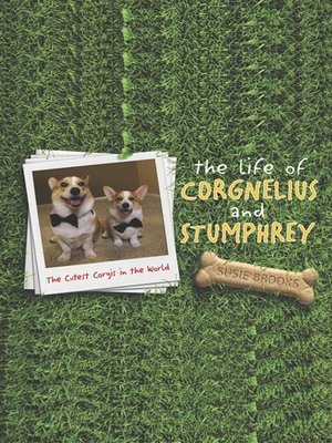 cover image of The Life of Corgnelius and Stumphrey
